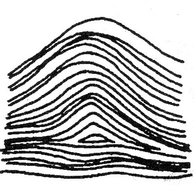 Arches in palmistry