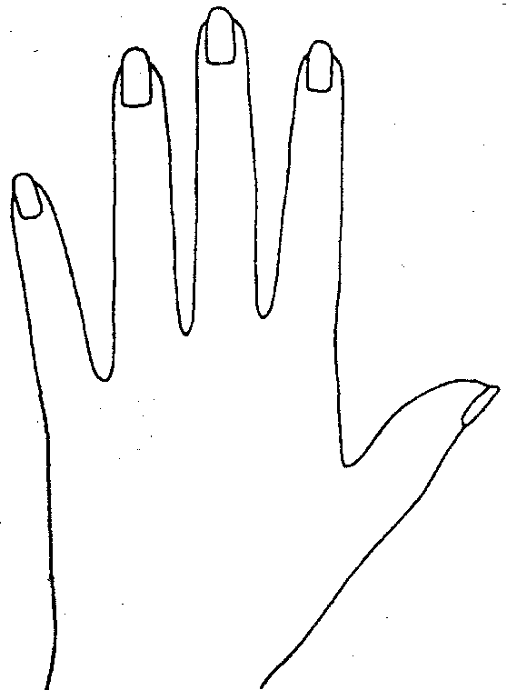 Conical Hand palmistry
