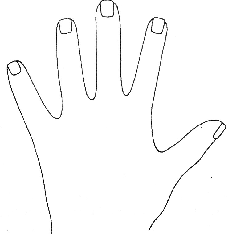 Square Hands palmistry