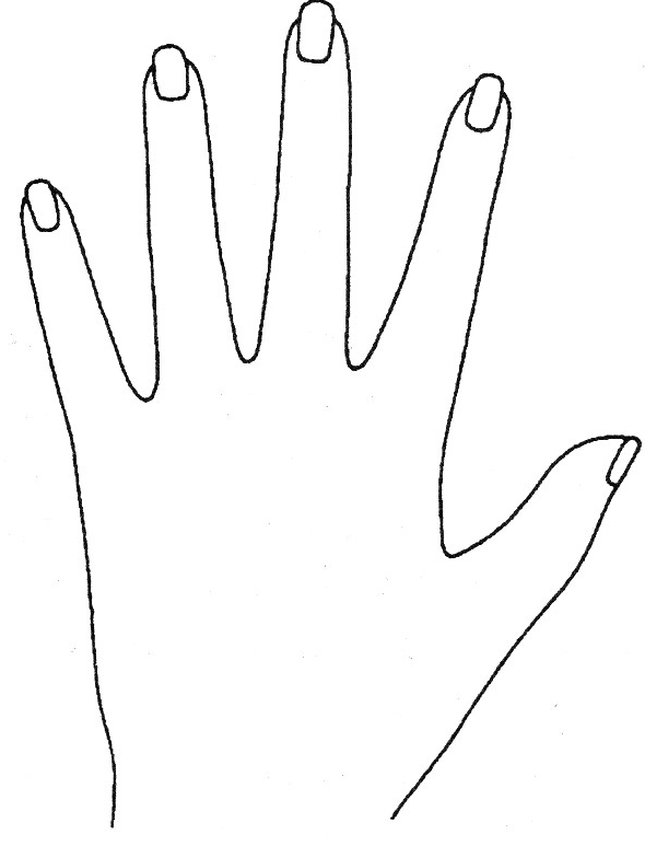 Oblong Hands palmistry