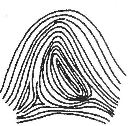 loops in palmistry