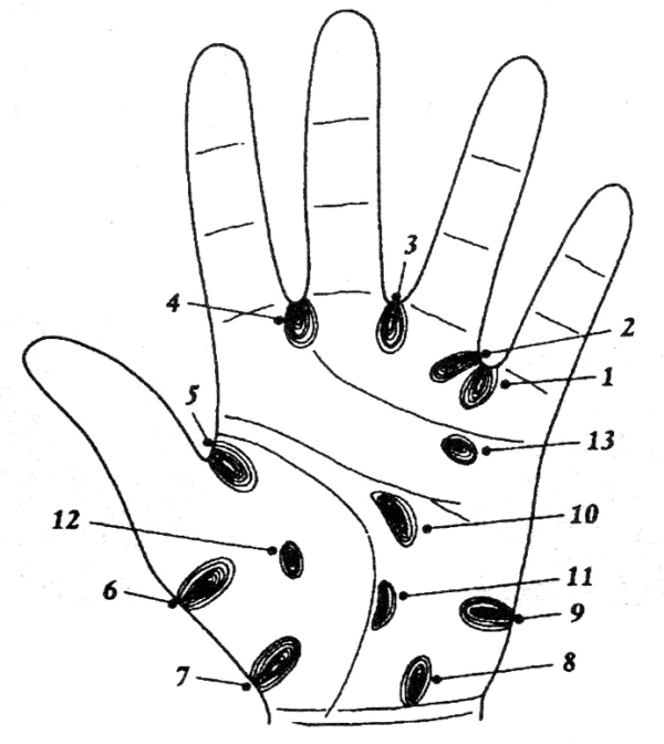 Loops in Palmistry