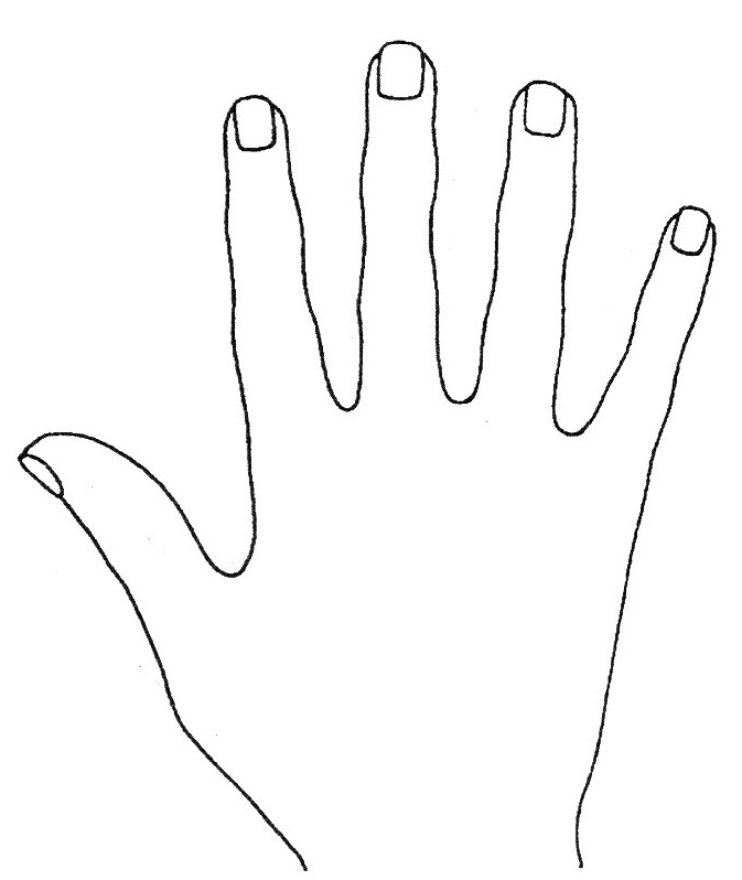 Medium-Length Fingers palmistry