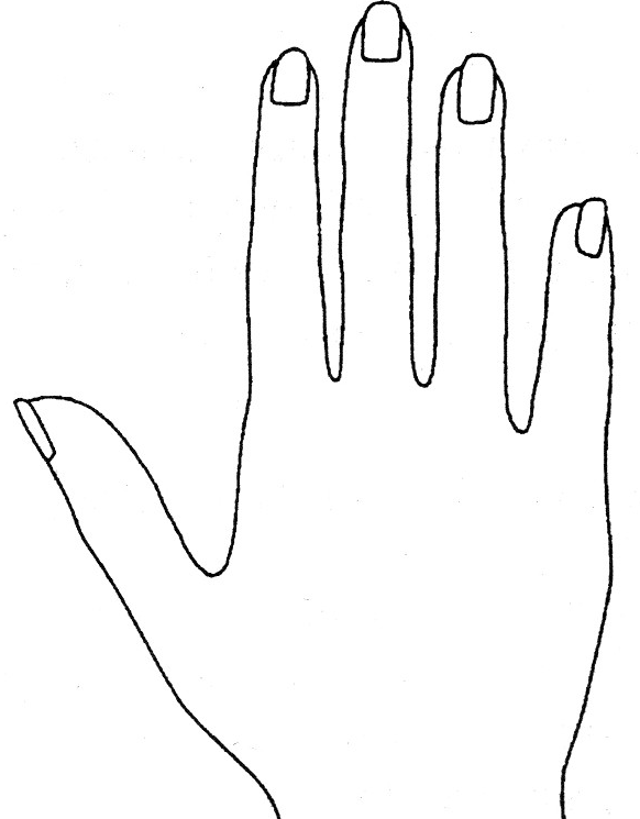 long fingers palmistry