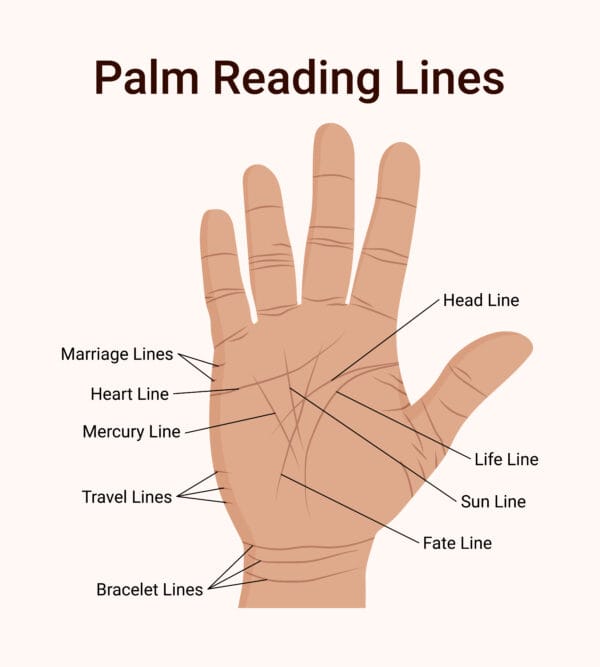 Lines of the palm